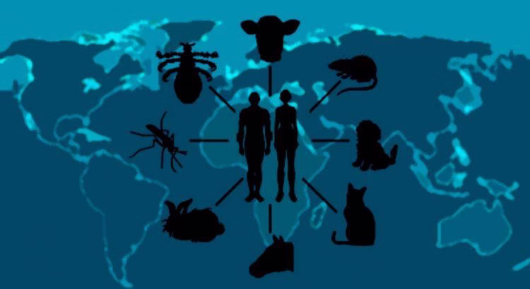 Capacitação em Parasitologia Aplicada aos Animais Domésticos – Zoonoses
