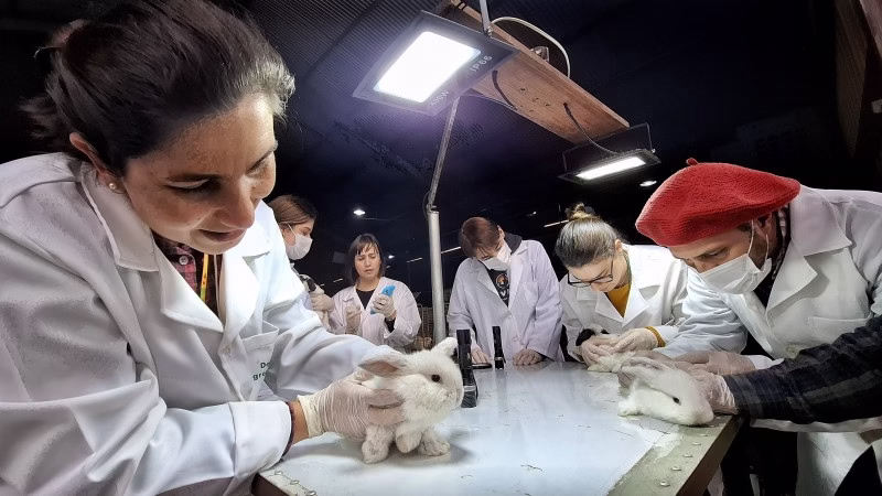 Vigilância Epidemiológica de Animais